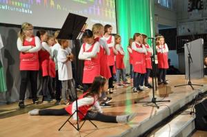 Razglasitev najbolj kulturne šole za leto 2017 v Grosupljem  50